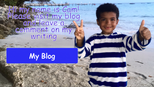 Cam's Blog