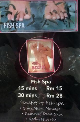 Fish Spa Kuala Lumpur